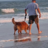 Scott Coll's profile image