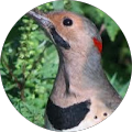Patsy caldwell's Profile Image