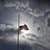 Sara Noyes's profile image