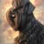 Jo Boyes's profile image