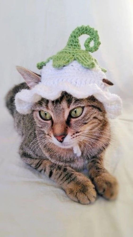 Parker G.'s profile image