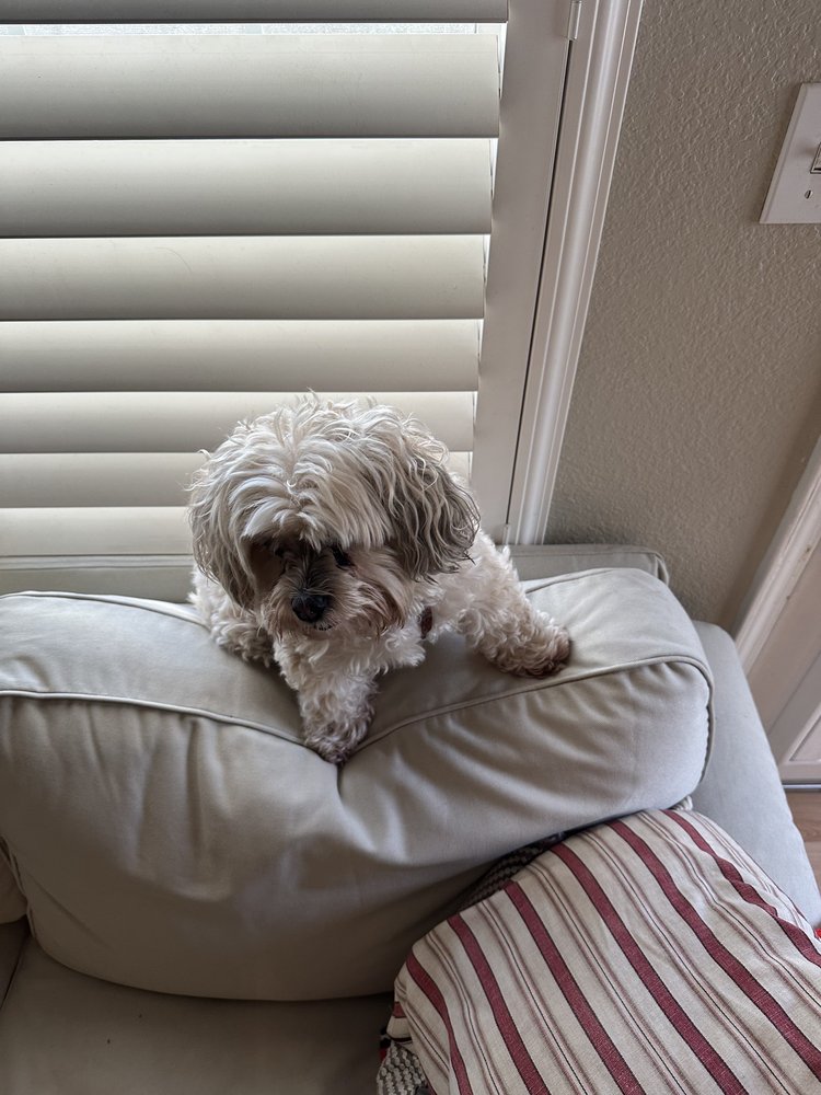 Dominic C.'s profile image