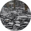 Elizabeth Pietanza's Profile Image
