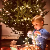 Lisa Girao's profile image