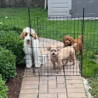 Alan Connolly's profile image