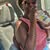 Marianela St John's profile image