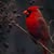 Nicole Surrett's profile image
