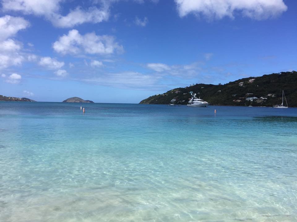 Linda L.'s profile image