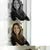 Melissa Peverini's profile image