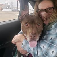 Wendy Stroup's profile image