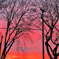 Ginny Mullins's profile image