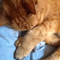 Kathy Ward's profile image