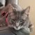 Dan Evard's profile image