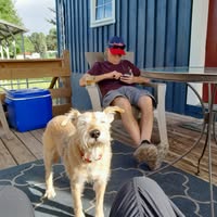 Cynthia Miller's profile image