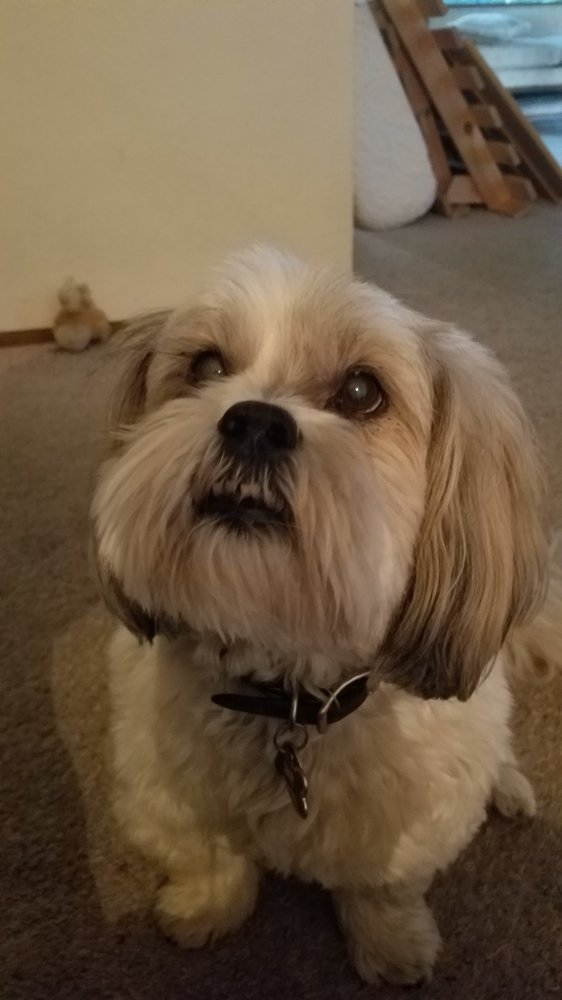 Paul S.'s profile image