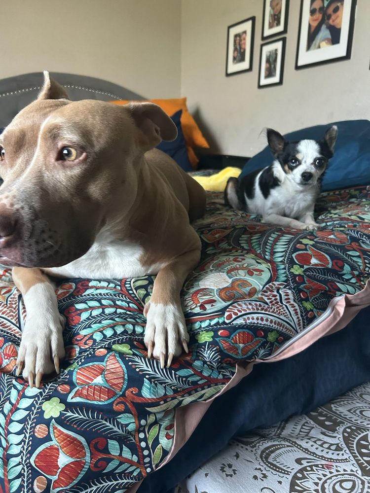 Cindy S.'s profile image