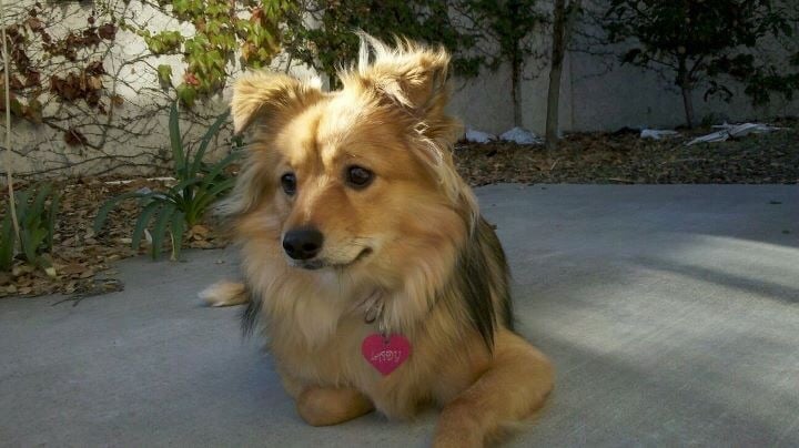 James S.'s profile image