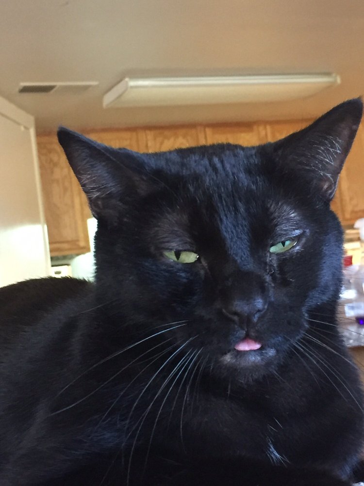 C F.'s profile image