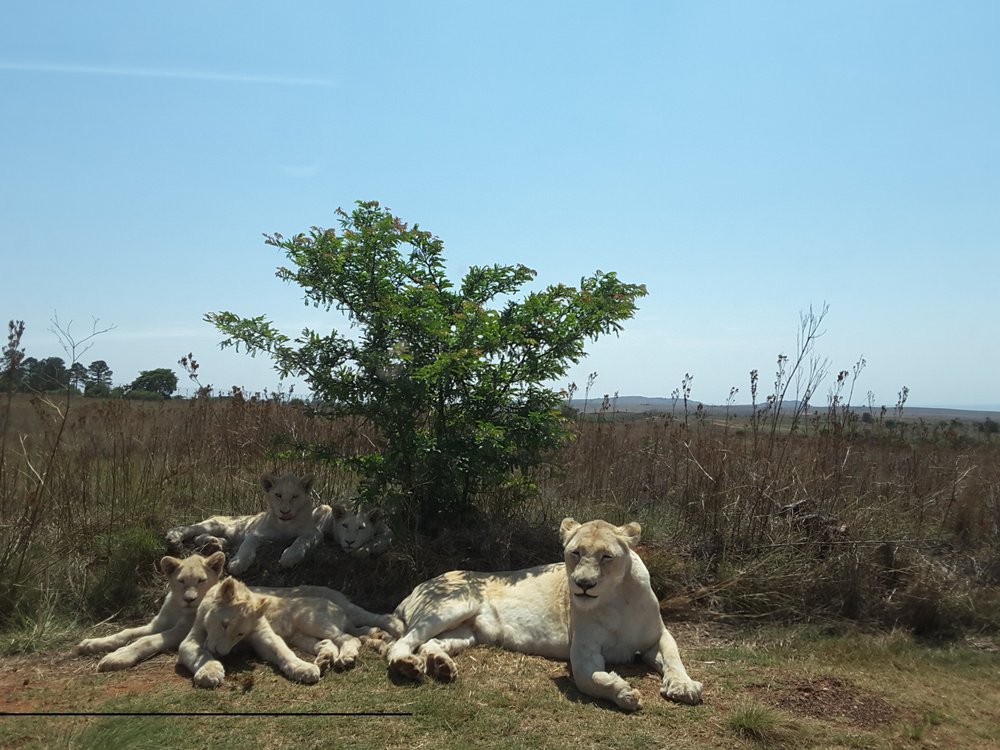 Bonnie C.'s profile image