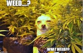 Michael Andrew M.'s profile image