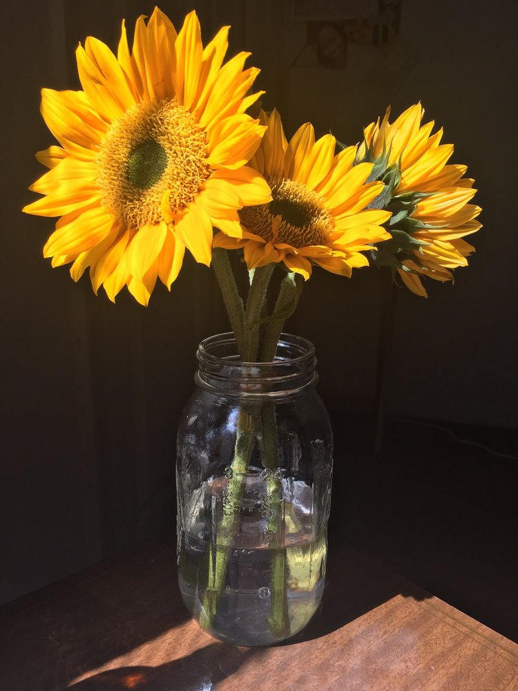 Krystal G.'s profile image