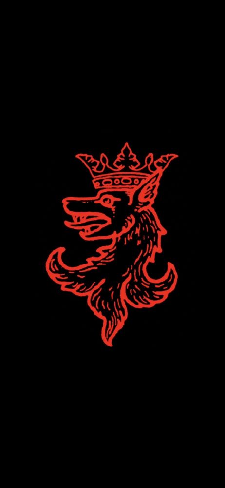 X I.'s profile image