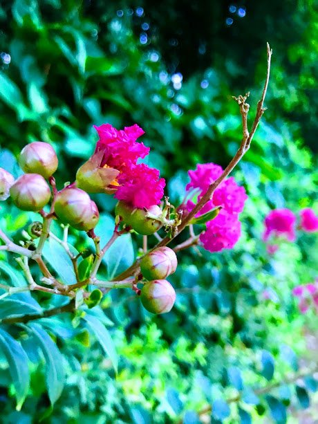 Beth M.'s profile image