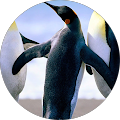 julie good's Profile Image