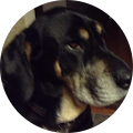 pam stratton's Profile Image