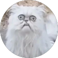 Eh's Profile Image