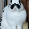 Mandy S.'s profile image