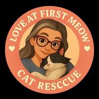 Maria Spinello's profile image