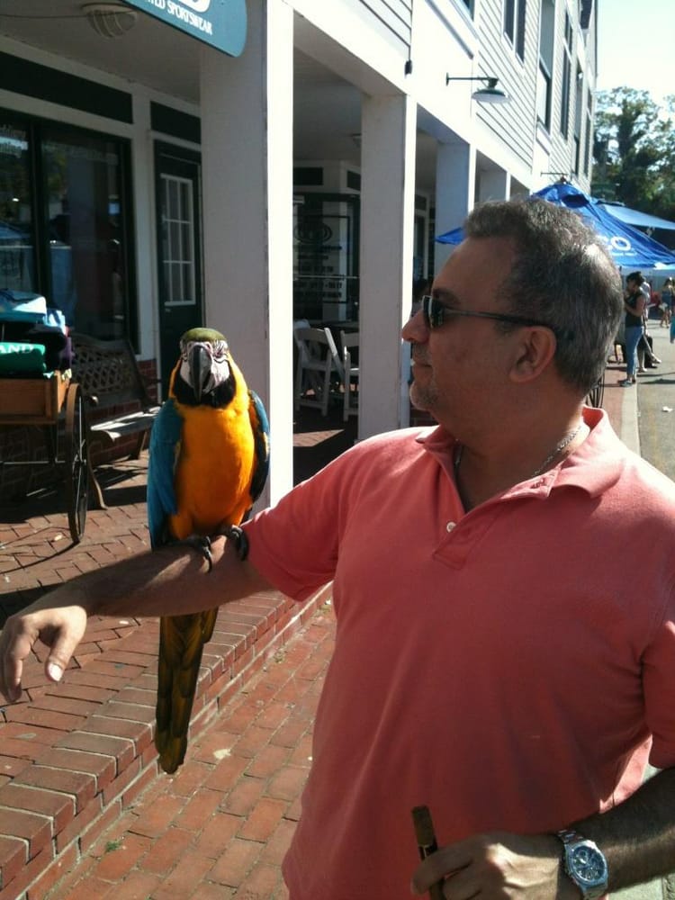 Franco C.'s profile image