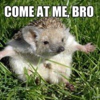 Dan D.'s profile image