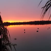 Doug Rogers's profile image