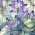 Debi Sterling's profile image