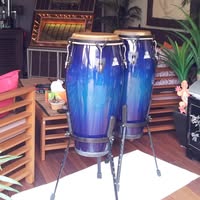 Mick Taylor's profile image