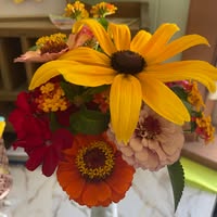 Jessica Adams Curry's profile image