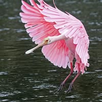 Margy Forester's profile image