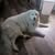 Joann Beloved's profile image