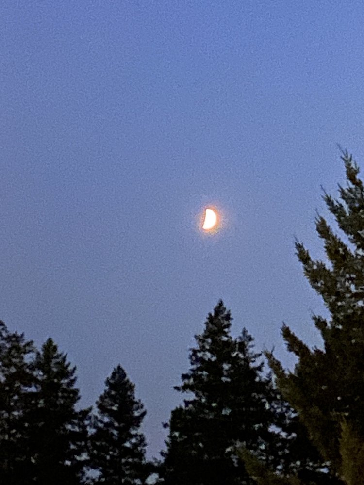 Christy A.'s profile image