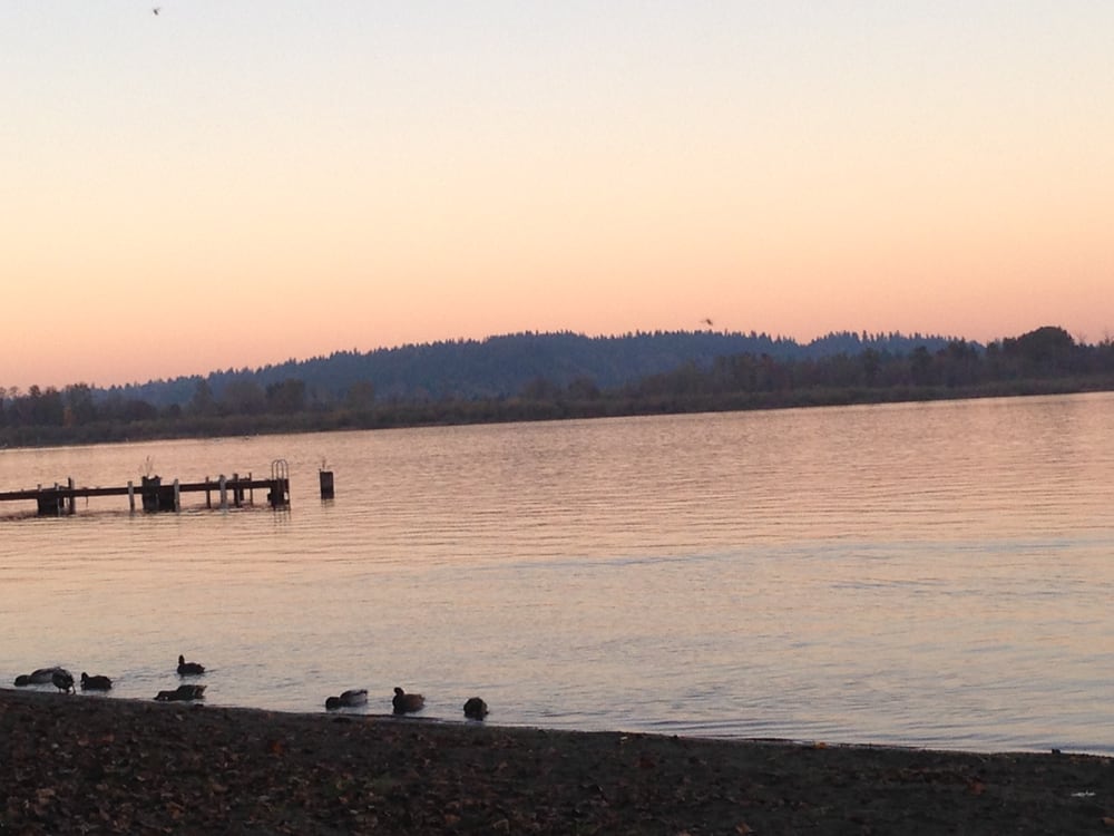 Kathy S.'s profile image