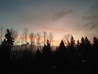 Julie N.'s profile image