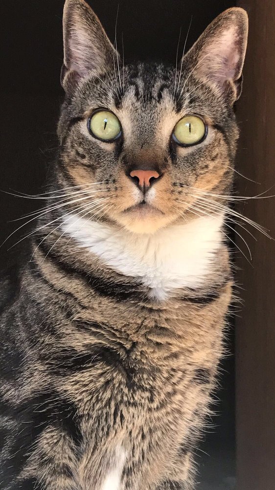 Luds T.'s profile image