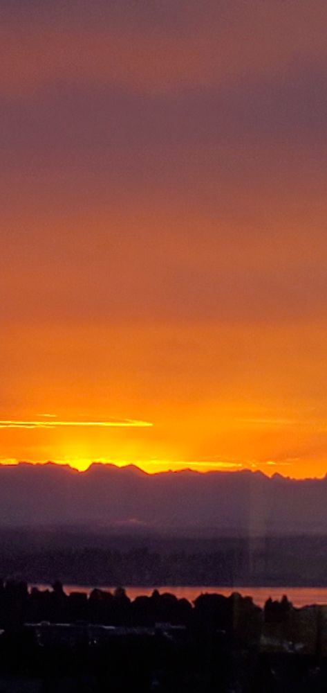 Julie S.'s profile image