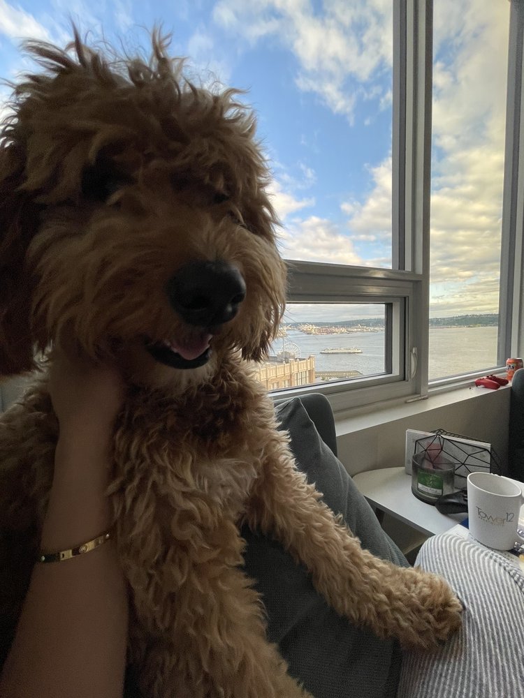 Gabrielle P.'s profile image