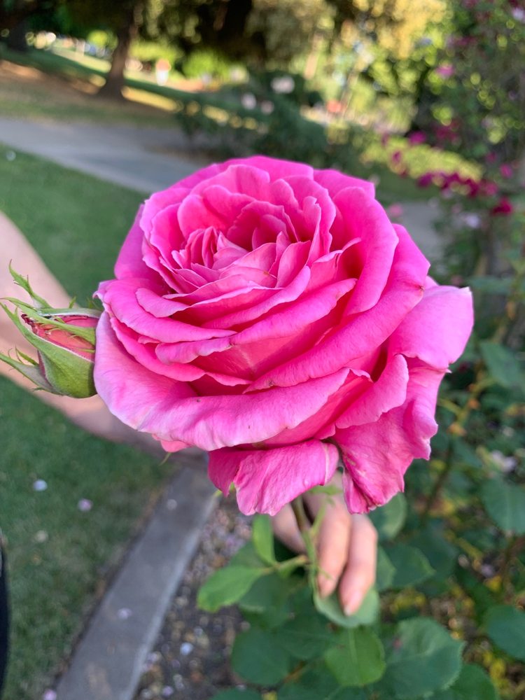 Shelly L.'s profile image