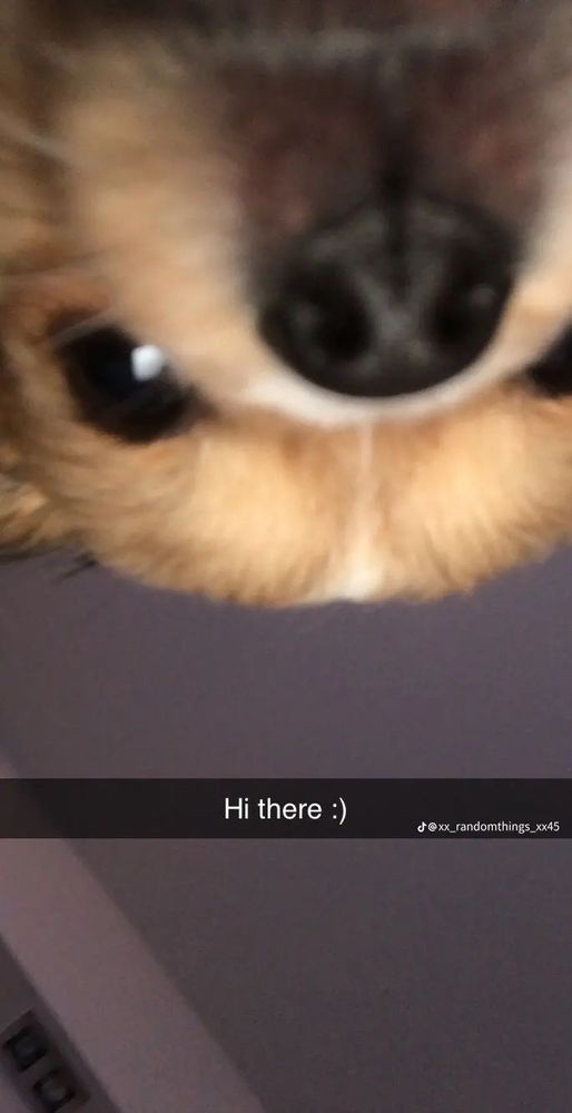 Jazzy H.'s profile image