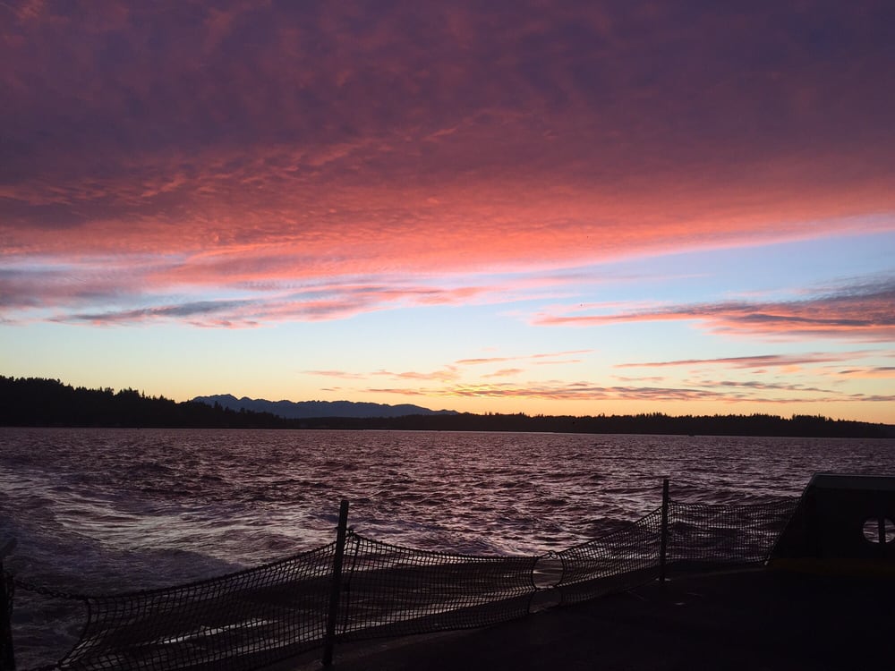 Chelsea M.'s profile image