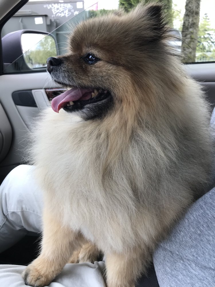 Dawn R.'s profile image